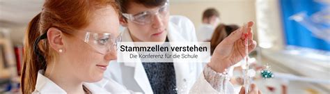 Stem Cells Free Science Lessons 的图像结果