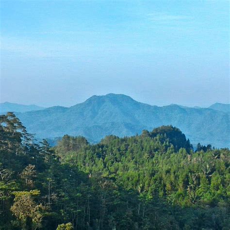 DESA WISATA NGLINGGO (2026) All You Need to Know BEFORE You Go (with ...
