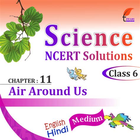 Class 6 Science Lesson 11 的图像结果