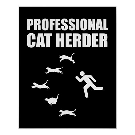 Image result for Structured Query Language Cartoons