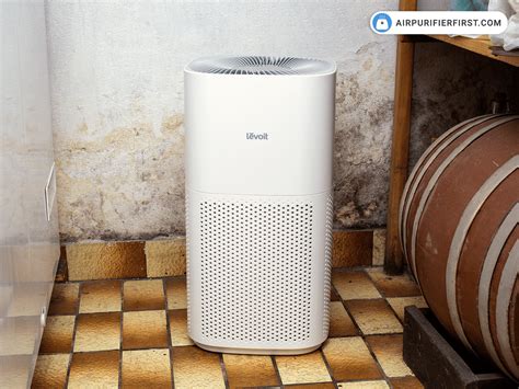 5 Best Air Purifiers To Effectively Fight Mold
