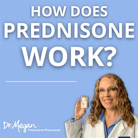 How Fast Does Prednisone Start Working