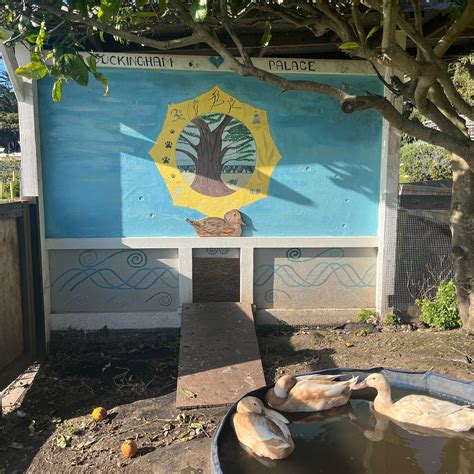 ESALEN INSTITUTE - All You Need to Know BEFORE You Go 2026 (with Photos ...