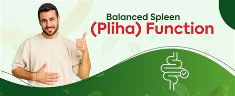 Jeena Sikho Pet Yakrit Pleeha Shuddhi kit | Ayurvedic Cleanse for Liver ...