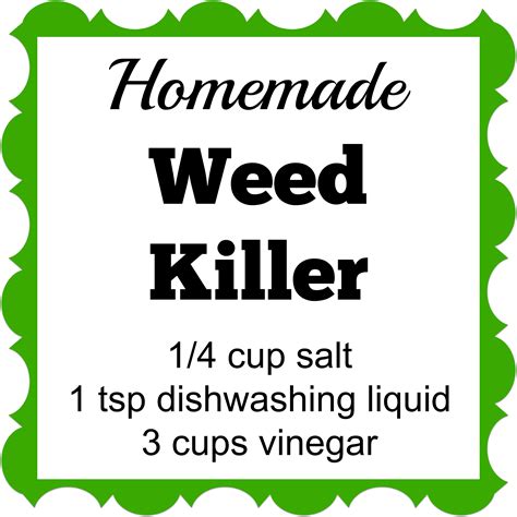 3-Ingredient Homemade Weed Killer - Saving Cent by Cent