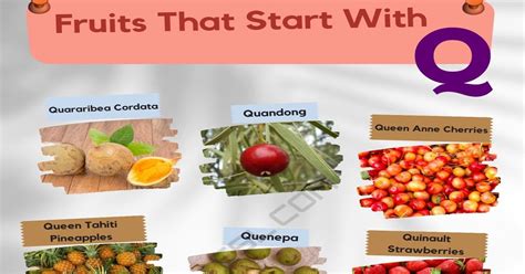 Fruit That Start With A Z at Richard Groves blog