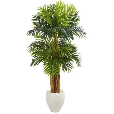 5.5ft. Triple Areca Palm Tree in White Planter | Michaels