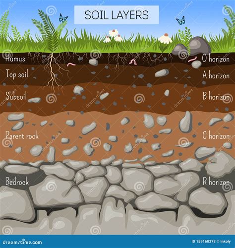 Earth Dirt 的图像结果