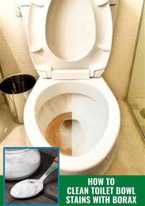 Does Urine Stain Toilet Bowl
