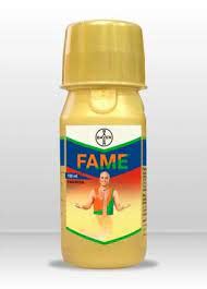 Fame - 100 ml