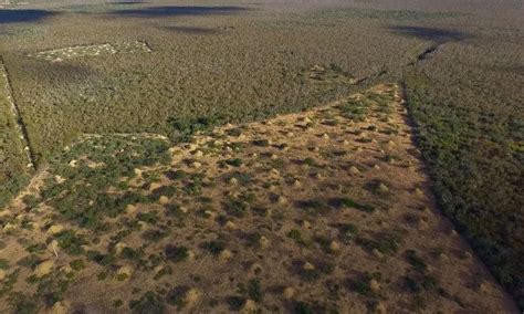 On World Forest Day, These 12 Powerful Images Show How Deforestation Is ...