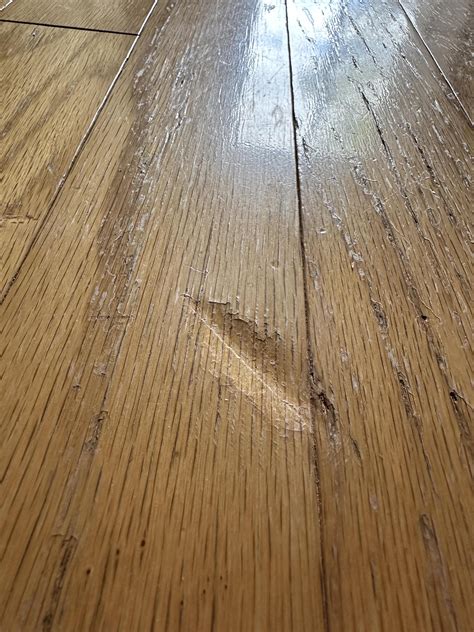 Dented hardwood floor. What are my options? I tried an iron to lift it ...