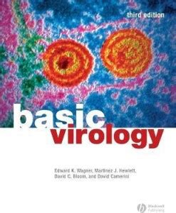 Basic Virology: Buy Basic Virology by Wagner Edward K. at Low Price in ...