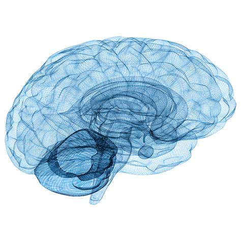 Bengal Neuro and Trauma Centre