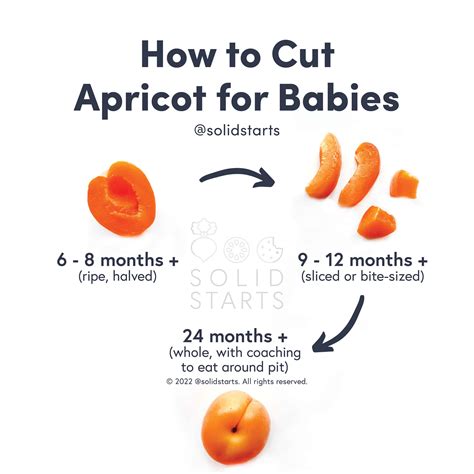 Can Babies Eat Dried Apricots