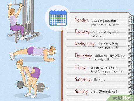 Image result for Exercise Program for Beginners