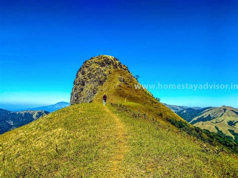 Blog: Forest Homestay - Gowdahalli - Chikmagalur | Sakleshpura ...