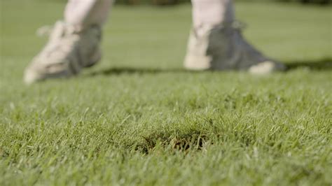 Golf运动 的图像结果