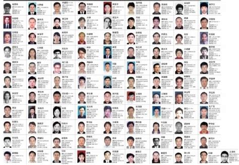 红通名单公布半年已归案17人 其中两人为劝返_央广网