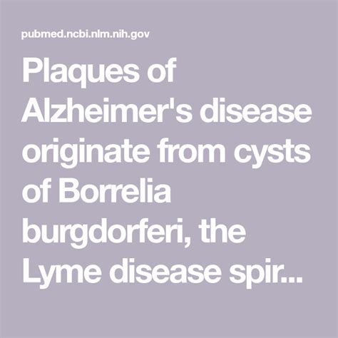 borrelia burgdorferi lyme disease