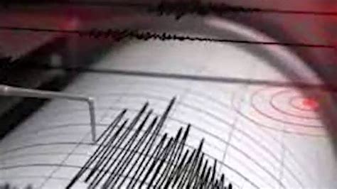 Earthquake of magnitude 7.2 hits China's Xinjiang, tremors felt in ...