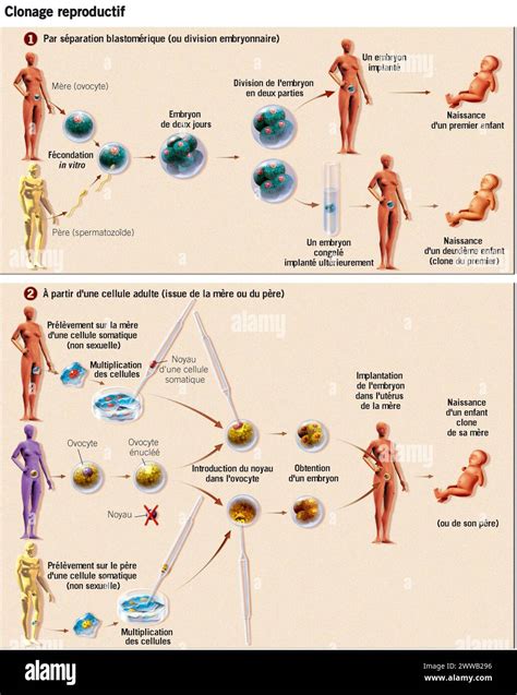 Cloning Examples 的图像结果