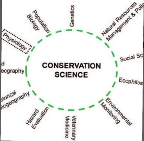 What is conservation?? - Brainly.in