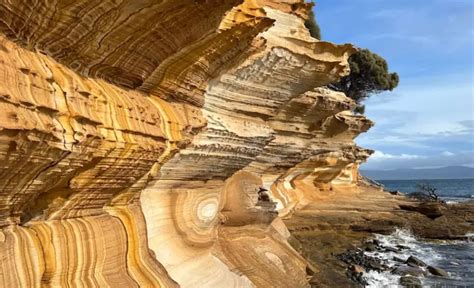 Image result for Machine Learning Project Report Sample Example O Format