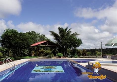 HOSTERIA EL BOROJO (Pedro Vicente Maldonado) - Hostel Reviews & Photos ...