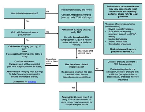 Pneumonia Algorithm 的图像结果