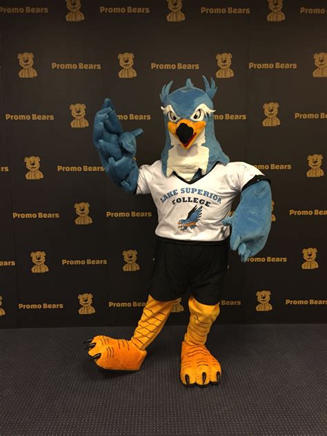 Custom Mascot in Minnesota - Promo Bears USA