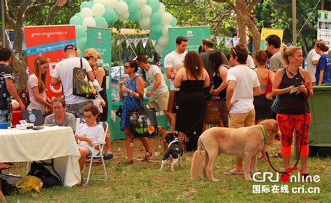 特拉维夫首次举办爱狗节-国际在线