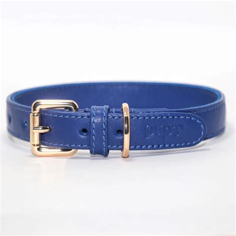 Buy Navy Blue Color Collar for Dogs Online – pupr.in