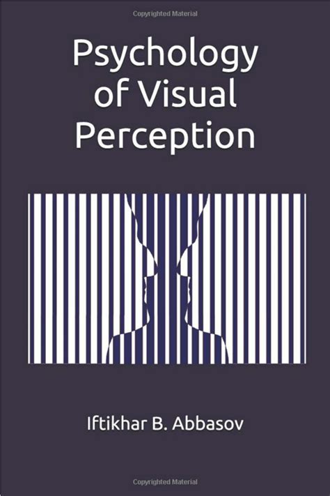 Perception 的图像结果