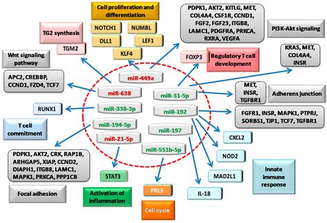 Intestinal and Circulating MicroRNAs in Coeliac Disease