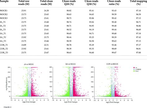 Transcriptome TreeMap 的图像结果