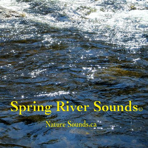 Image result for Spring Sounds