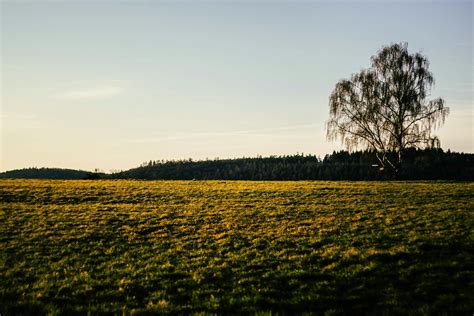 President Background 的图像结果