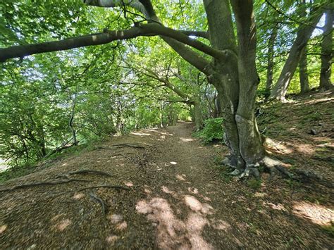 Heathlands, ancient woods, panoramic views and the Devils Punchbowl ...