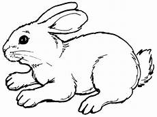 ausmalbilder tiere hase ausmalbilder hasen moldes de animais coelho desenho ausmalbilder tiere hase ausmalbilder hasen moldes de animais coelho desenho