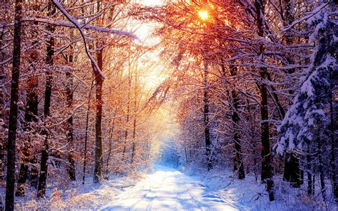 [100+] Winter Zoom Backgrounds | Wallpapers.com
