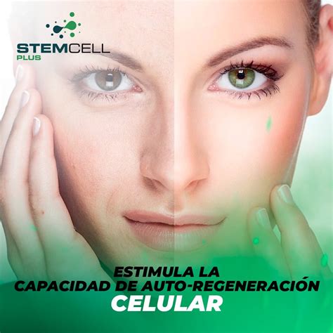 Stem Cell Plus- Help Inflammation & Joint Pain - 100% Natural- (4 Bottles) | eBay