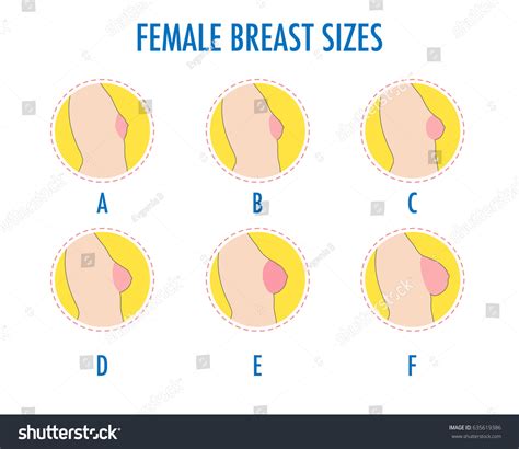 253 illustraties voor Breast growth girls: stockillustraties ...