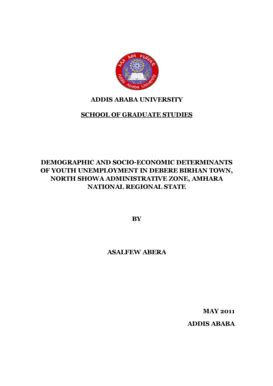 Asalfew A 2011 Demographic And Socio Economic Determinants Of Youth ...