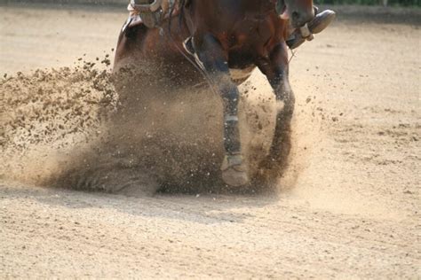 Image result for Reining Tutorials