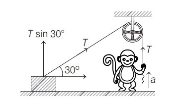 One end of a light string is fixed to a clamp on the ground and the ...