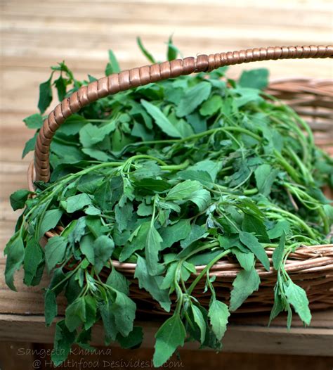 bathua ka saag / a green dip with chenopodium leaves