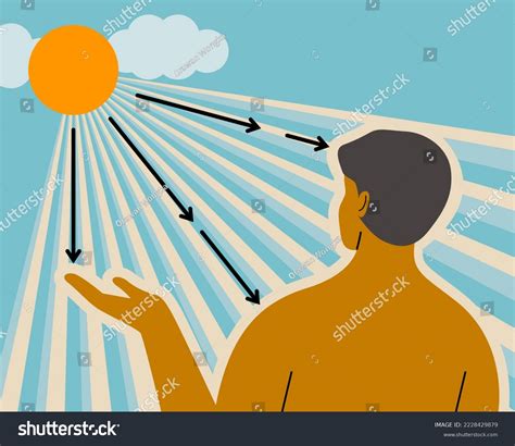 Sunlight Vitamin D: Over 419 Royalty-Free Licensable Stock Illustrations & Drawings | Shutterstock