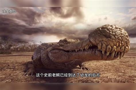 侏罗纪世界游戏 中棘龙VS帝鳄VS原水蝎螈 - YouTube