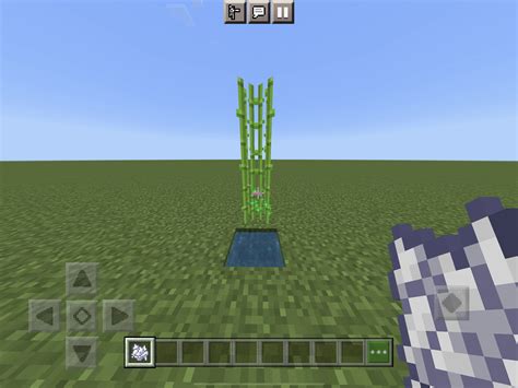 Planting Sugar Cane in Minecraft